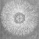 Illustration for article titled Use that built-up static electricity to create a shocking work of art